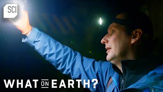 This Secret Cold War Base Was Used to House Nuclear Missiles?! | What on Earth | Science Channel