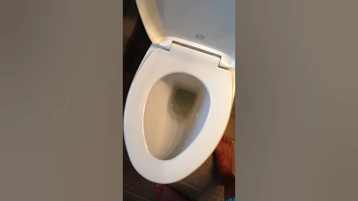 Costco Caroma's Sydney Smart toilet flushing. WOW