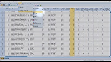 Using SPSS Visualizing a Confidence Interval by Groups