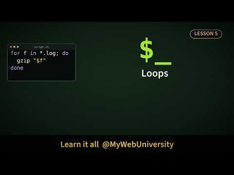 Bash & Zsh Scripting #5: for, while, until Loops, Reading Files Line by Line, break and continue