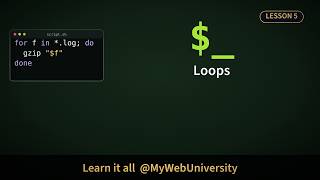 Bash & Zsh Scripting #5: for, while, until Loops, Reading Files Line by Line, break and continue