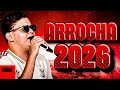 ARROCHA DO ALVINHO ATUALIZADO 2026