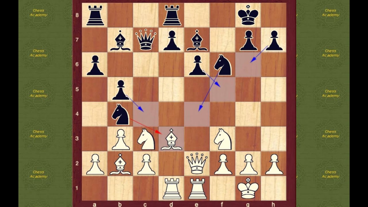 Open vs Closed Chess Game - The Chess Website