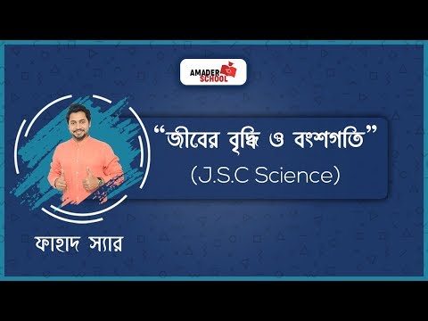 ভিডিও: বিশেষত্ব 