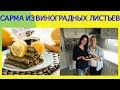 Турецкая кухня. Сарма из виноградных листьев (Yaprak sarma). рецепт