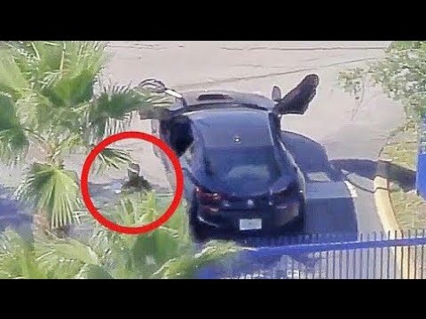 XXXTENTACION ЖИВ! ВСЕ ПРУФЫ ТУТ! УБИЙЦУ РЭПЕРА НАШЛИ И АРЕСТОВАЛИ?! ЧТО ОТ НАС СКРЫВАЮТ?! ДОКВА ТУТ