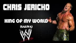 WWE | Chris Jericho 30 Minutes Entrance 4th Theme Song | 'King of My World (Saliva)'