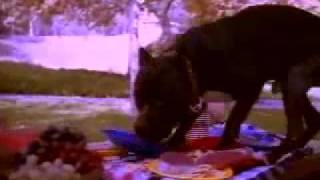 Snoop Dogg - Doggystyle (HD Official Video) - YouTube Snoop Dogg - Doggystyle (HD Official Video) - YouTube