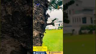 INTERNATIONAL SCHOOL OF MANAGEMENT , | ISM CAMPUS VIDEO | ISM COLLEGE REVIEW | #ISM # EDUCATION