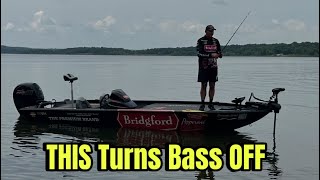 The 5 Things That Make Bass Difficult To Catch At Times…