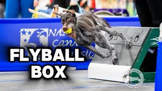 The Flyball Box- Explained