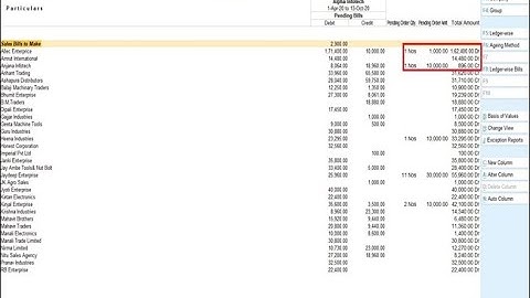 Tally Add On : Display Pending Order Amount in Group Outstanding Report in Tally Prime Software.
