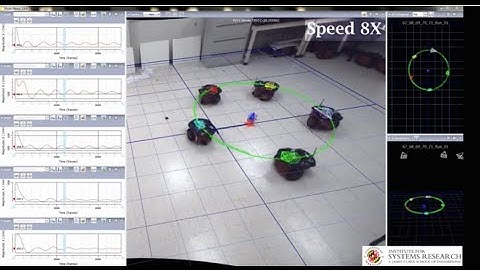 Bio-inspired Algorithms for Collective Motion