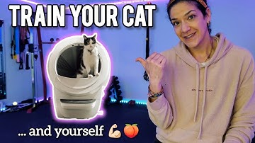 How to get my cat to use the Litter Robot 4? STEP BY STEP training tips!