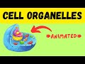 Cell Organelles Quiz