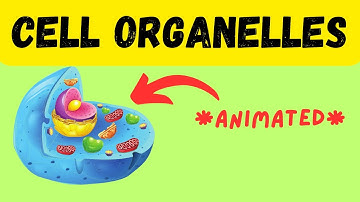 Cell Biology: Cell Organelles explained in 3 Minutes (Animated Version)