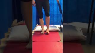 Ankle Exercise Balance and Proprioception