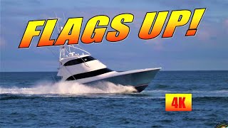 FLAGS UP in 4K | When the Sportfish Head Back During the Buccaneer Cup | Boats at Palm Beach Inlet