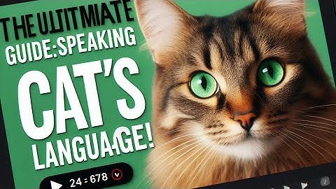 The Ultimate Guide: Speaking Cat
