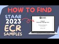 Understanding ECR and STAR Test Preparation
