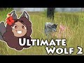 The Search for Wild Wolves!! 🐺 Ultimate Wolf 2