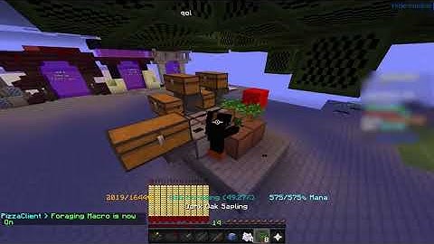 foraging macro pizza client