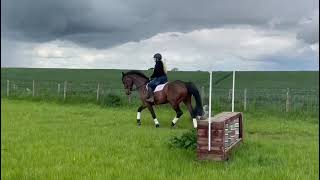 Ad ref 278339 Video 3