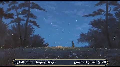 هشام المقدشي. .آيات من سورة فاطر