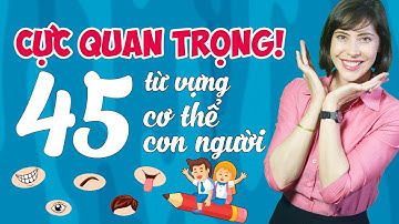 45 TỪ VỰNG TIẾNG ANH CƠ BẢN VỀ CƠ THỂ CON NGƯỜI - Học tiếng Anh Online (Trực tuyến)