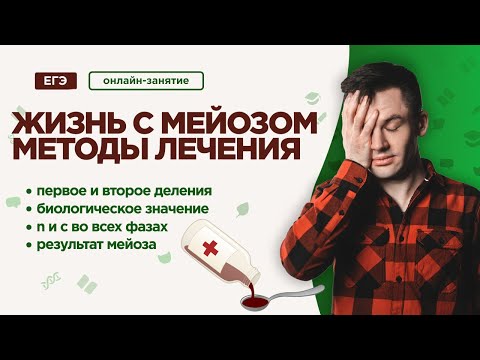 Жизнь с МЕЙОЗОМ | ЕГЭ Биология | Даниил Дарвин