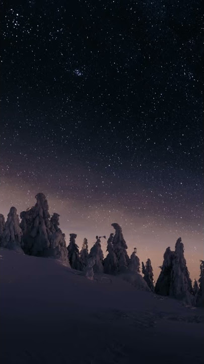 Starry Snowy Forest Animated