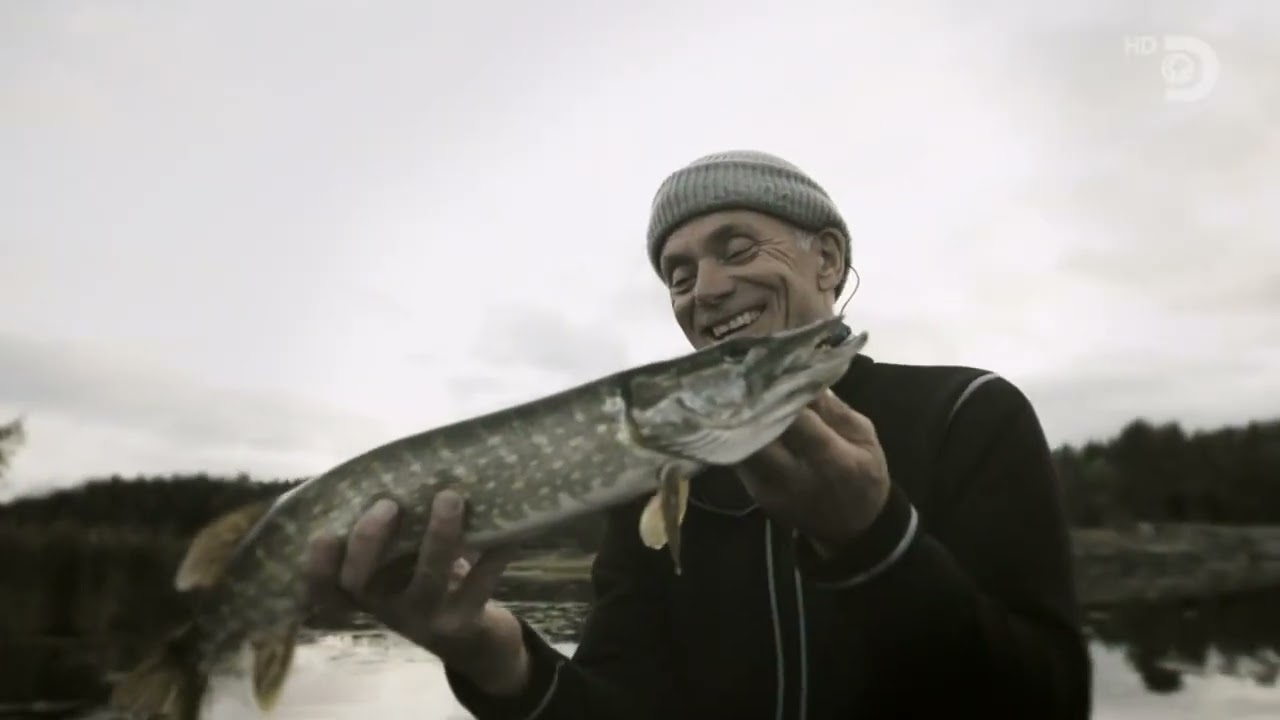 Почему пресноводные щуки (Esox lucius) способны жить в солёной морской воде Балтийского моря ?