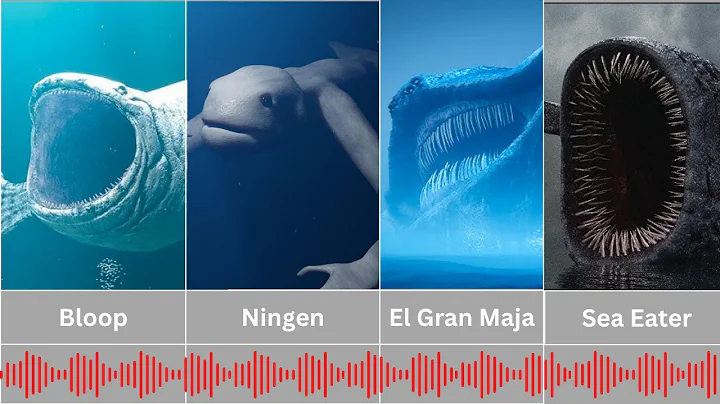 Sea Monsters Compilation (With Audio)