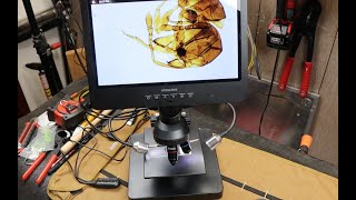 Famous JOYALENS JL249P Digital Microscope, Dual-Lens, Compound, Hi Def, 24M Pixel, huge screen, affordable! Profile