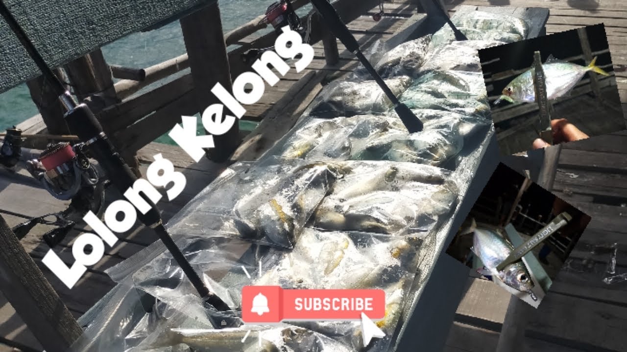 Ajing fishing | kelong acheh v2
