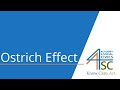 Understanding the Ostrich Effect