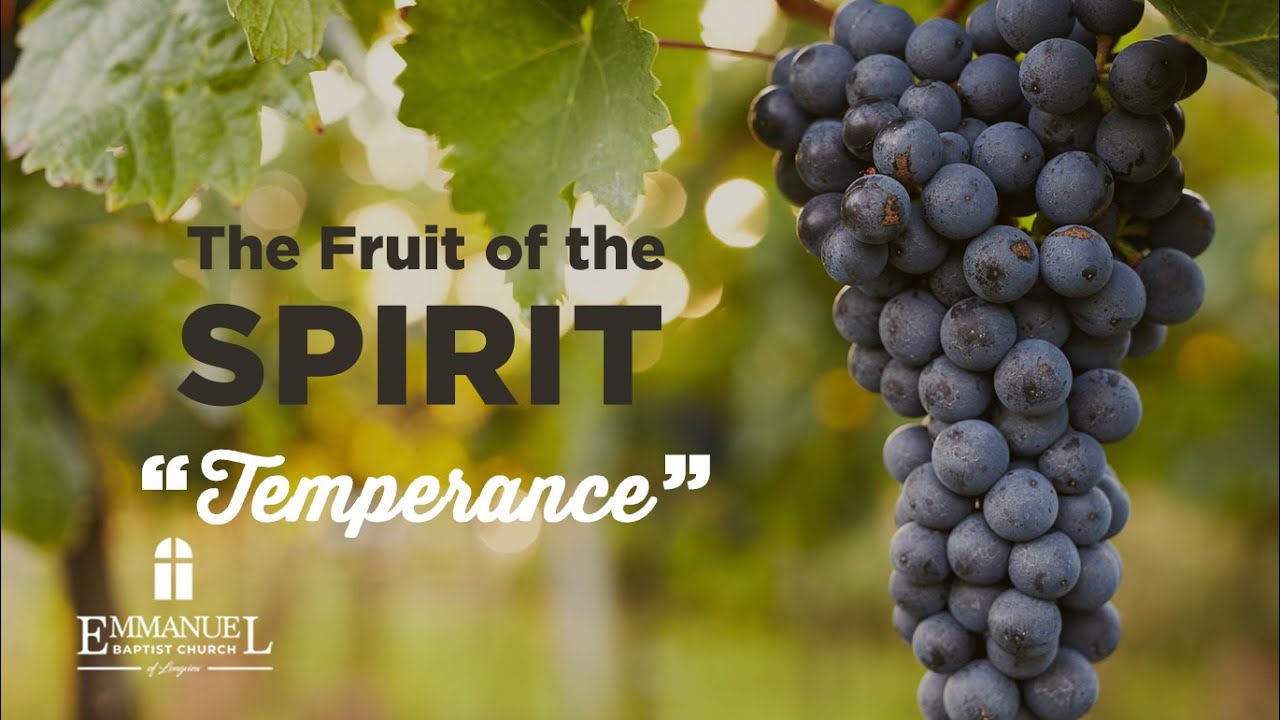 Fruit of the Spirit Temperance Wed PM 4 13 22 Pastor Bob Gray II YouTube