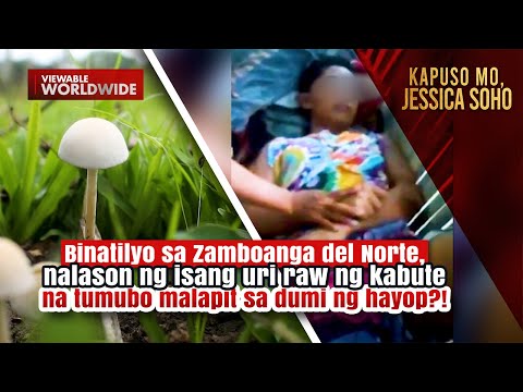 Video: Dunka - nakamamatay na nakakalason na kabute
