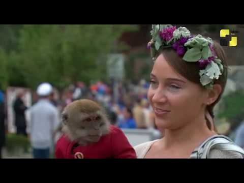 რიყეზე თბილისობის დღესასწაული \"თბილისობა 2018\" გაიმართა