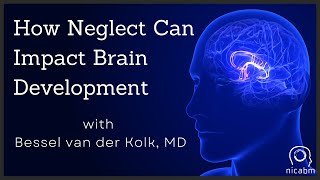 How Neglect Can Impact Brain Development - with Bessel van der Kolk, MD