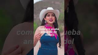 Perlas Potosinas - La Ley Del Monte [ Morena Music ] #shorts