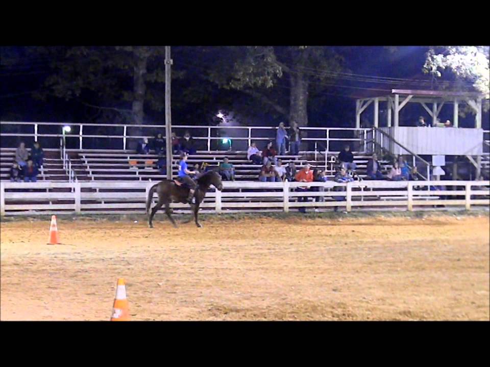 Mule Pleasure JHAC Fall Fun Show 2013 Brodhead, Ky YouTube