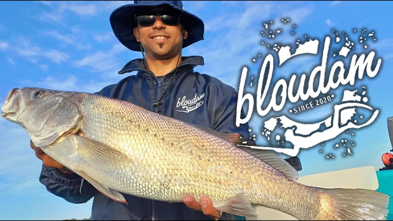 LIVE BAIT FISHING FOR KOB YouTube