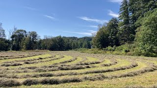 Baling Hurricane-Wind-Cured Third Cut Hay (2023)