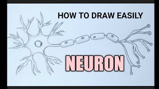 How to draw a neuron easily step by step/ nerve cell easy drawing #neuron