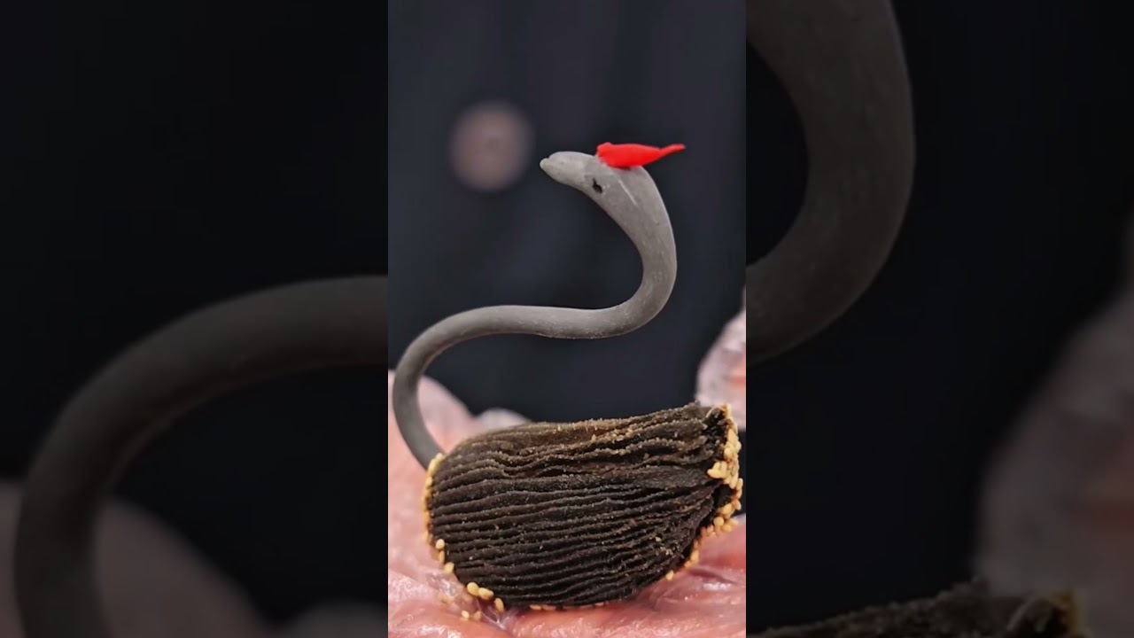 This Swan Puff Recipe Is Going Viral—and You Can Make It Too!