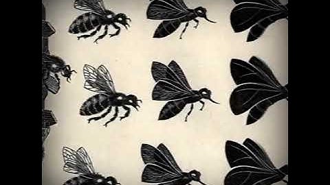 Escher: The Exhibition & Experience "Metamorphosis"