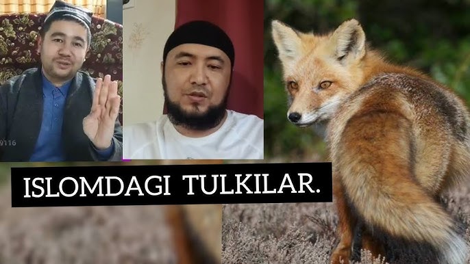 Jinsiy aloqa va yirtqich hayvonlar ishtirokidagi oyinlardan videolar Tayoq, kamar va qamchi bilan jinsiy aloqada bolgan qizlarni kaltaklash