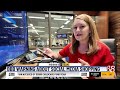 Better Business Bureau warns about social media shopping