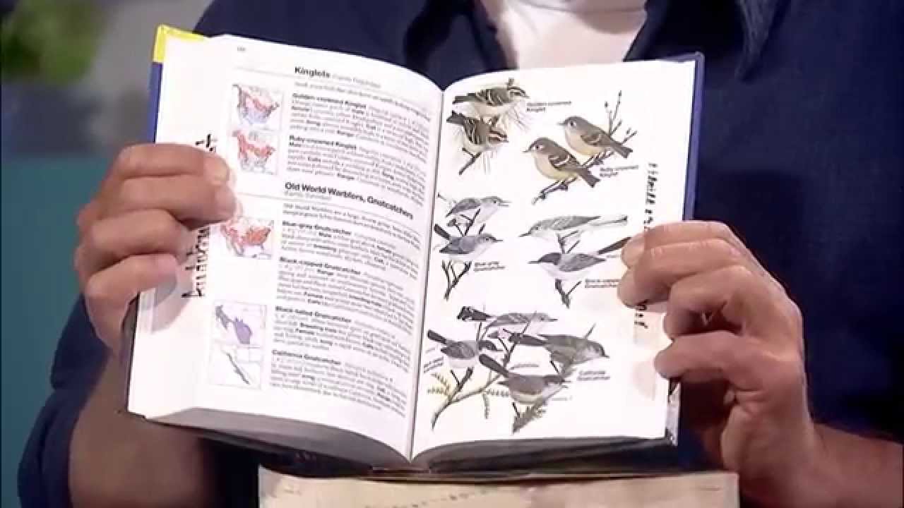 5/27/15 Bird Notes with Mark LaBarr of Audubon VT on Across The Fence